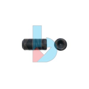 ASME_B18.3_T14_SKT_Grub_Screw_Fine