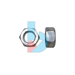 DIN555_GR4_Hex_Nut_PLN