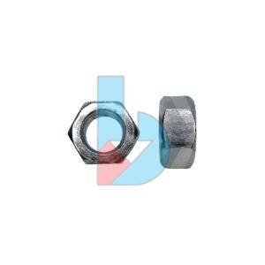 DIN555_GR4_Hex_Nut_ZP