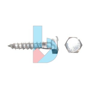 DIN571_Coach_Screw_A2