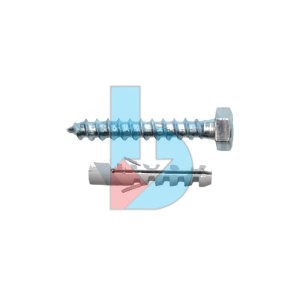DIN571_Coach_Screw_with_PA6_Wallplug