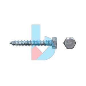 DIN571_Coach_Screw_ZP