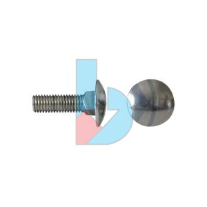 DIN603_Cup_SQ_Bolt_SS