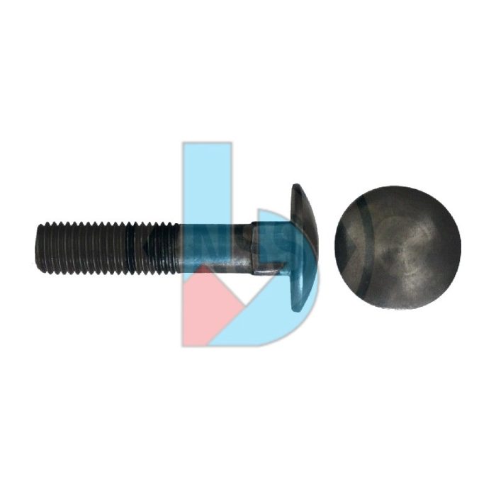 din603_ms_cup_sq_bolt_pln_45-21.jpg DIN603_MS_Cup_SQ_Bolt_PLN