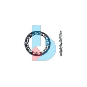 DIN6798J_Internal_Star_Lock_Wsh_ZP