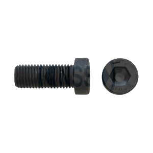 Low Head Cap Screw DIN7984