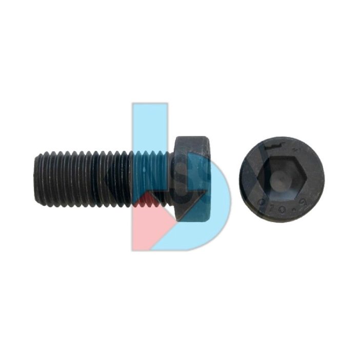 din7984_109_low_hd_cap_screw_31-94.jpg DIN7984_10.9_Low_HD_Cap_Screw
