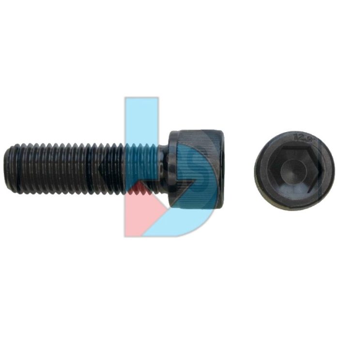 din912_129_skt_cap_screw_69-165.jpg DIN912_12.9_SKT_Cap_Screw
