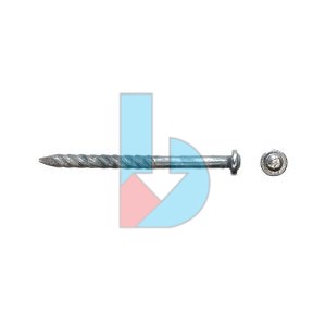 Double_Round_Roof_Nail_ZP