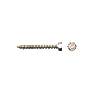 Roof Screws