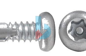 Pan_HD_Torx_Pin_Security_Tekscrew_Cl3